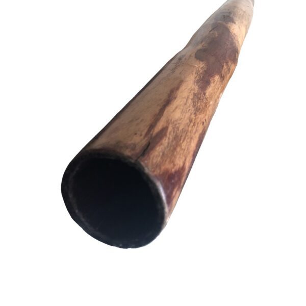 Didgeridoo termita autraliano